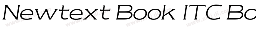 Newtext Book ITC Boo字体转换